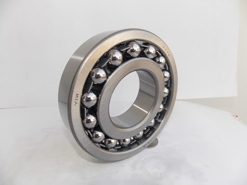 Fashion 1311 Bearing